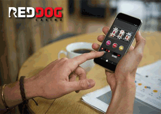 Red Dog Casino Mobile No Deposit Bonus  thegameswapper.com
