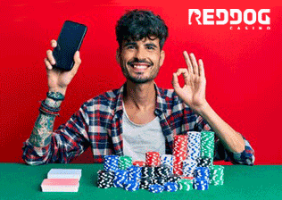 red dog casino  mobile  thegameswapper.com